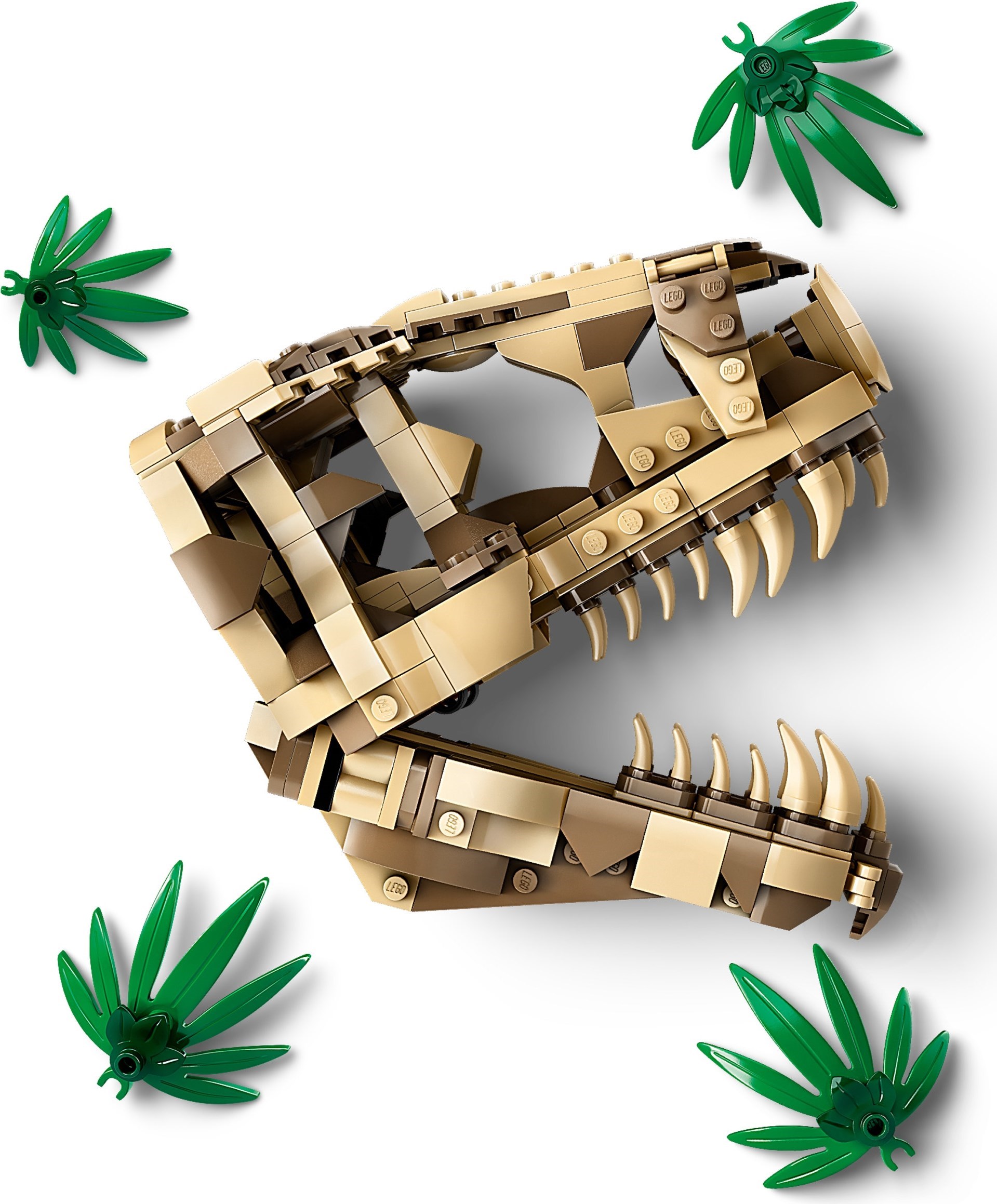 Zdjęcie galerii dla zestawu LEGO Jurassic World 76964 Skamieniałości dinozaurów: czaszka T-rexa